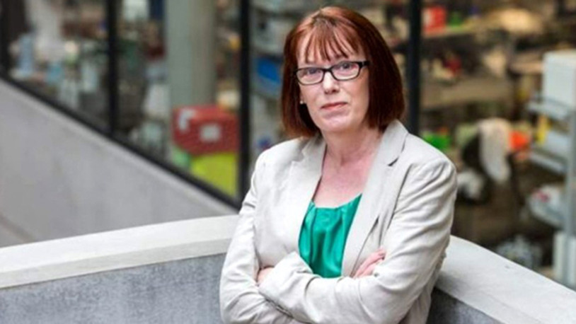 'Aşının Eylül ayında hazır olacağından yüzde 80 eminim'