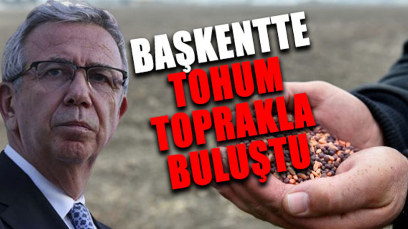 Mansur Yavaş talimat vermişti: Belediyeye ait tarım arazilerinde üretim başlıyor