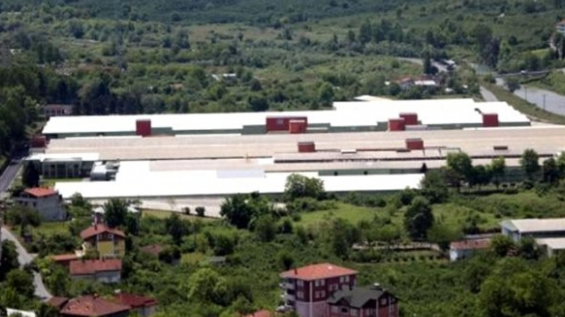 800 çalışanı olan fabrikada korkutan vaka sayısı