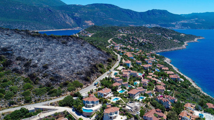 Antalya Kaş'ta yanan alan tekrar ağaçlandırılacak