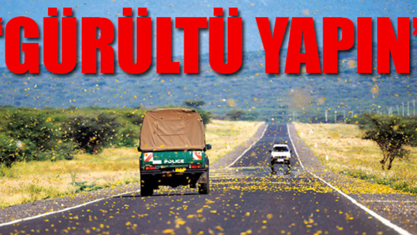 Çekirge istilasına yetkililerden ilginç çözüm