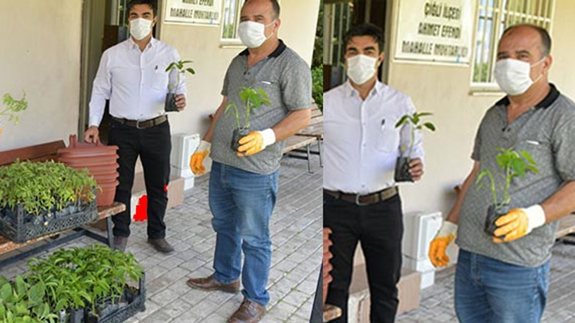 Çiğlililer sebzesini evlerinde yetiştirecek