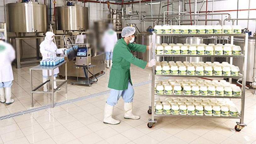 Çin'e süt ve süt ürünleri ihracatının önündeki engeller kaldırıldı