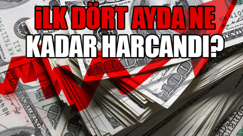 Doları düşürmek için harcanan para