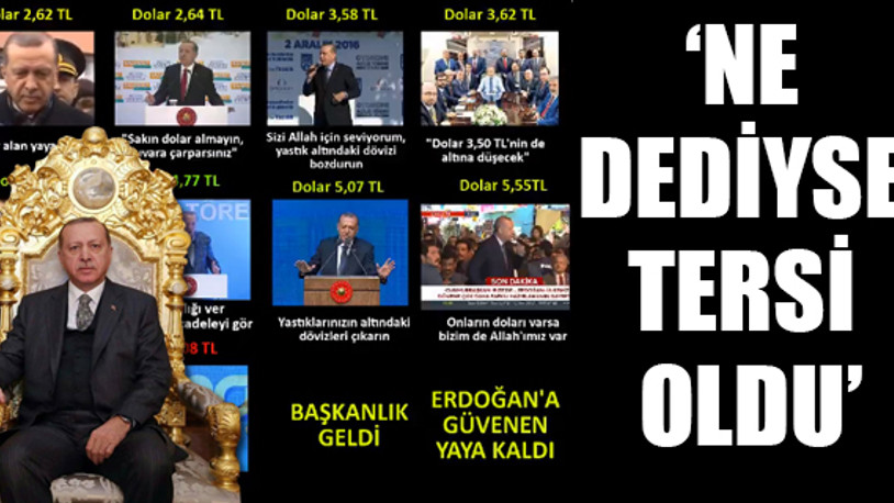 Erdoğan'ın 'dolar arşivi'ni paylaştı...