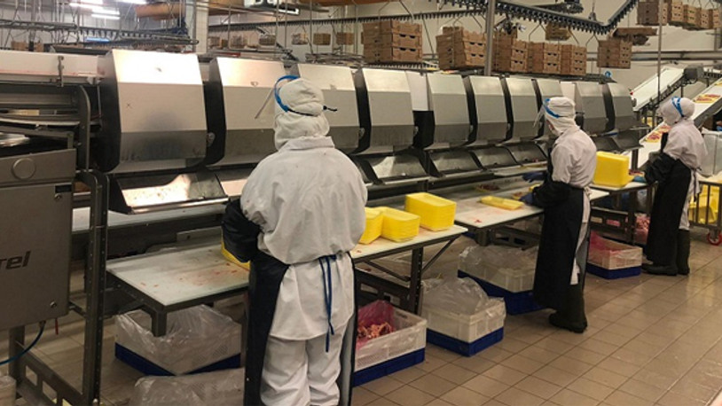 Koronavirüse yakalanan Gedik Piliç işçilerinden güzel haber