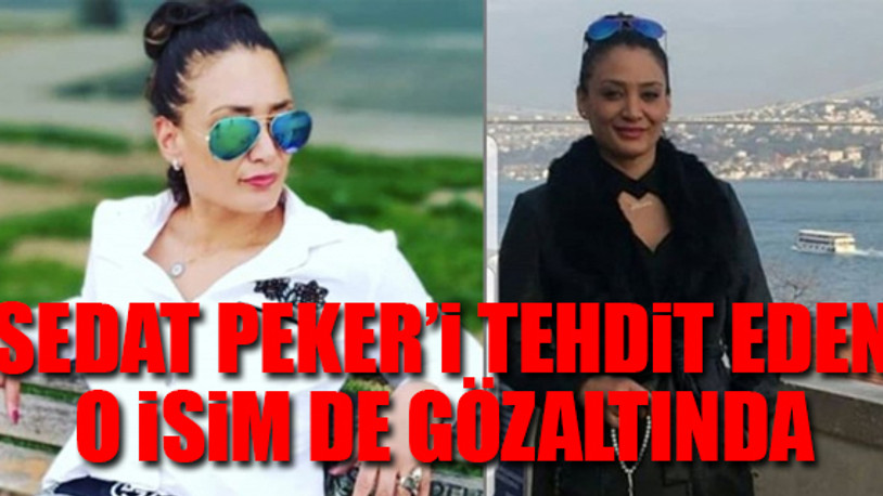 Organize suç örgütlerine ''hijyen'' operasyonu