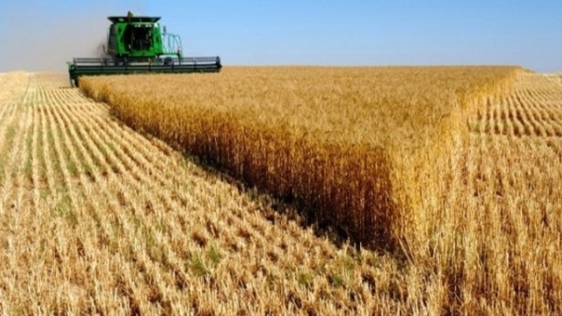 AKP döneminde 3.5 milyon hektar alan tarım dışı kaldı