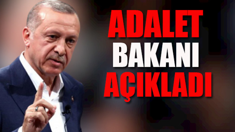 Erdoğan 1 yılda 40 tutukluyu affetti