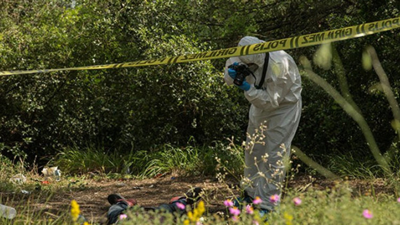 İstanbul’da ormanda dehşet: Boğazı kesilmiş erkek cesedi bulundu