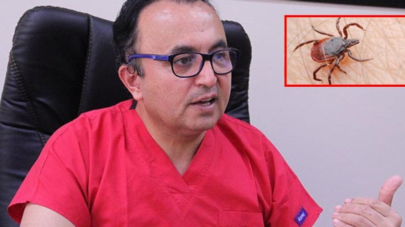 Prof. Yıldız'dan kene vakaları uyarısı