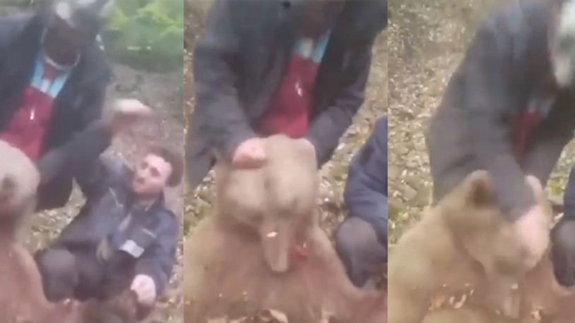 Ayıyı önce öldürdüler sonra işkence ettiler