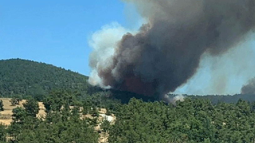 Çanakkale’de orman yangını