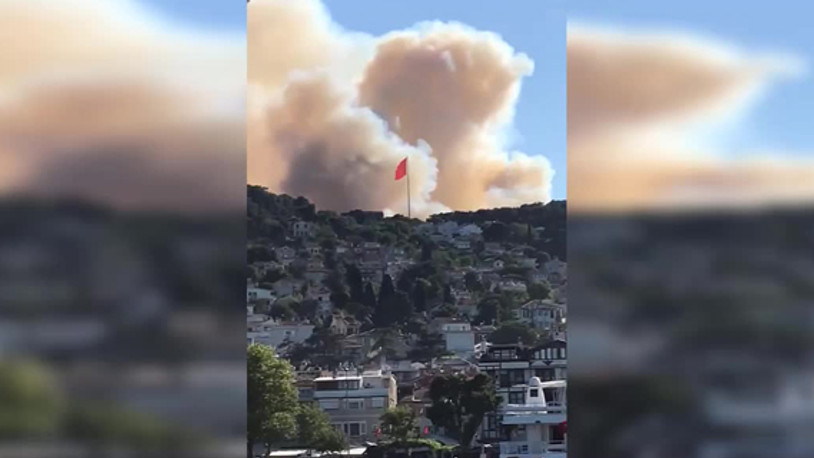 Heybeliada'da korkutan yangın