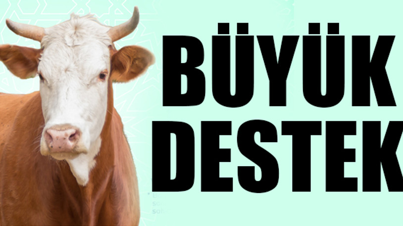 İBB Vakfına rekor kurban bağışı