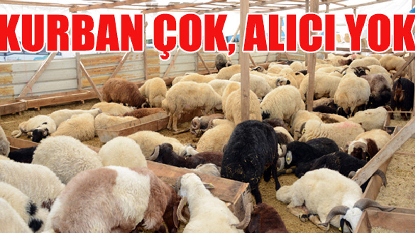 Koronavirüs ve kriz, kurban satışlarını etkiledi