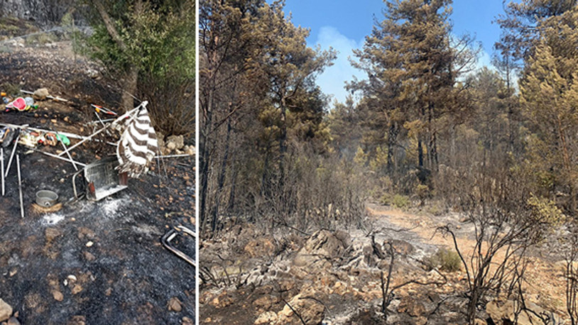 Mangal ateşi 42 dönüm kızılçam ormanı ve dört dönüm zirai araziyi kül etti