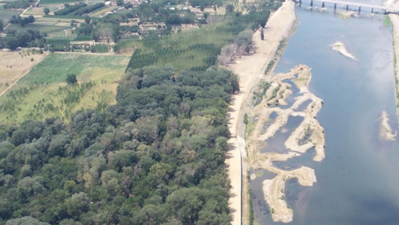 Meriç Nehri'nden su içen hayvanlar öldü