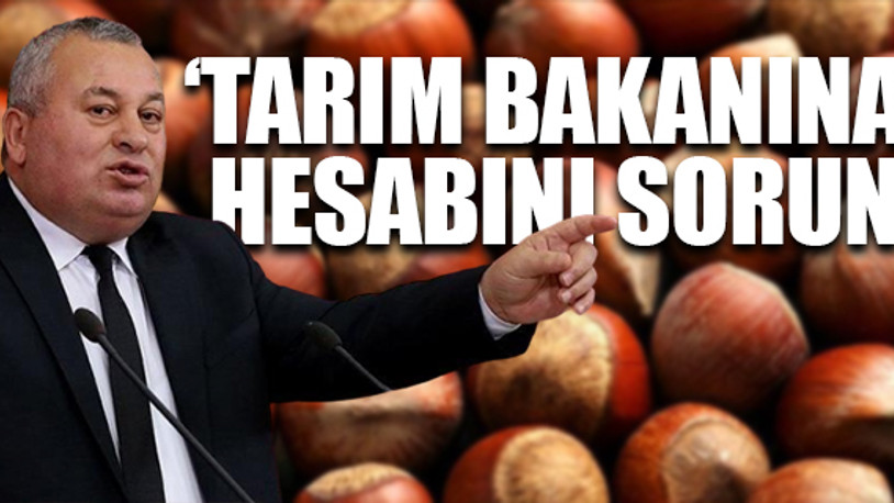 MHP’den ihracı istenen Cemal Enginyurt’tan Erdoğan’a çağrı