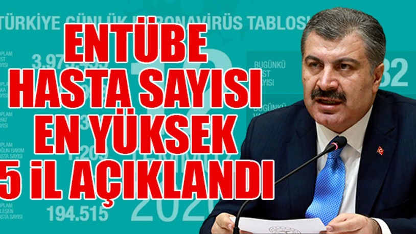 Türkiye'nin son koronavirüs tablosu