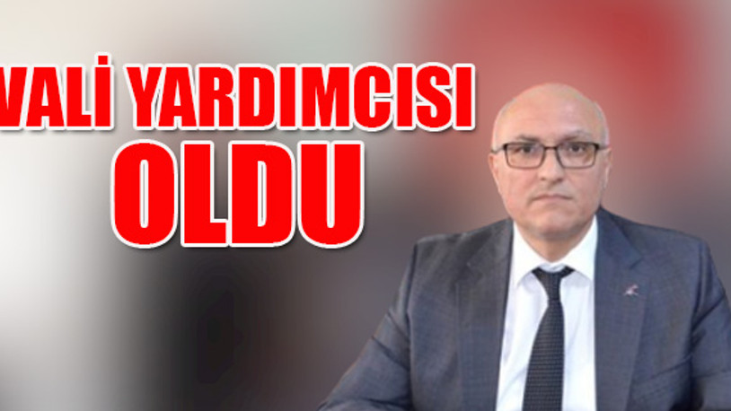 Vatandaşı 'Terbiyesizlik yapma lan' diye azarlayan kaymakama ödül gibi ceza