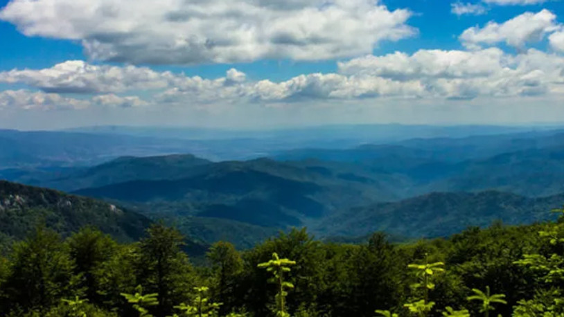 Balıkesir'de ormanlara girmek yasaklandı