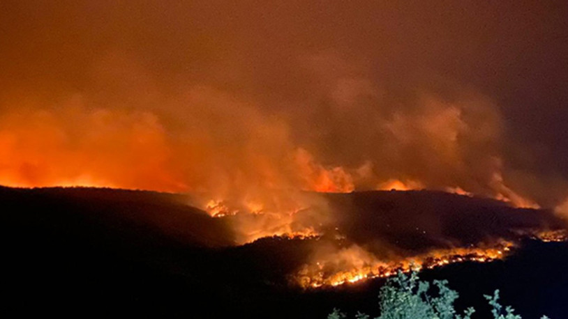 Bulgaristan-Türkiye sınırındaki yangın kontrol altına alındı