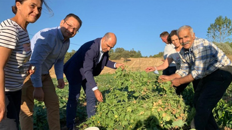CHP'li Şahin: Balıkesirli üreticiler dertlerini araçlarına yazar hale geldiler 