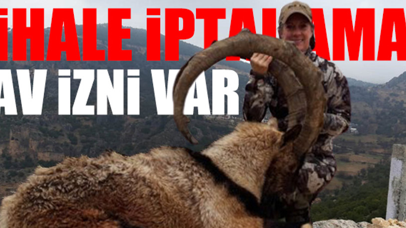 Dağ keçilerinin çilesi bitmiyor...