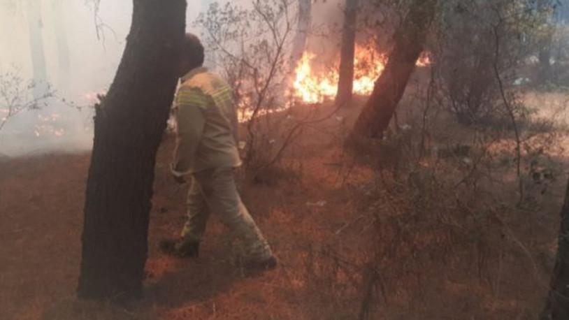 İstanbul'da orman yangını