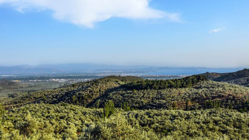 Kazdağları’nda ormana giriş ve çıkışlar yasaklandı