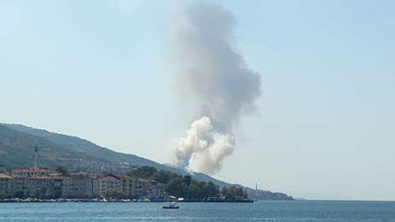 Kocaeli’de büyük orman yangını