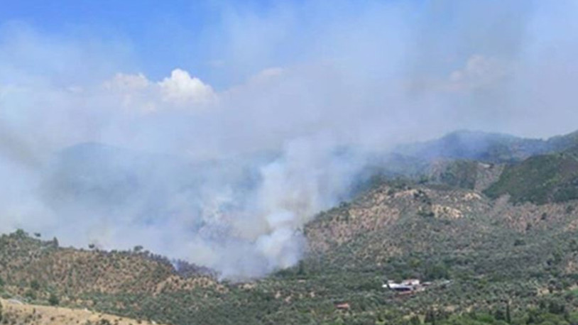 Muğla'da ormanlık alanda yangın
