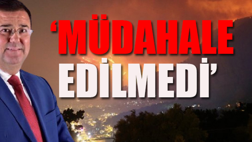 Muğla Milas'ta çıkan yangınla ilgili belediye başkanından korkunç iddia