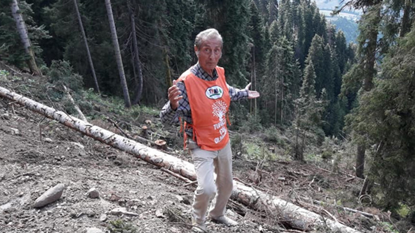 Şavşat'taki orman kıyımına tepki