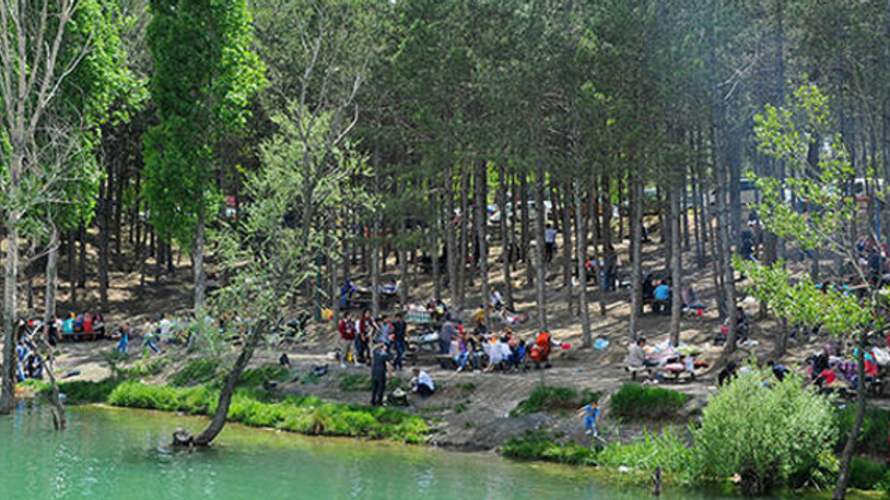 Valilik duyurdu... Ankara'da mangal kararı