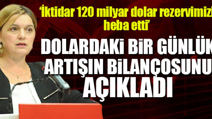 CHP'li Böke'den dolar açıklaması