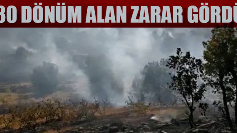 Elazığ'da orman yangını