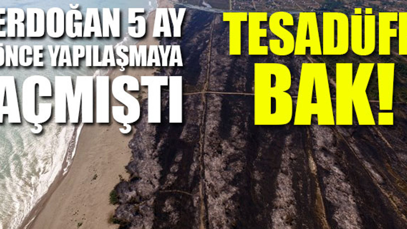 Kızılırmak Deltası Kuş Cenneti'ndeki yangında dikkat çeken ayrıntı