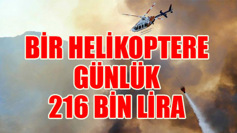 Orman Bakanlığı'nda 'gizli kapaklı' ihale...