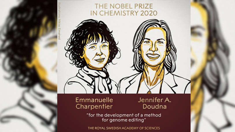 2020 Nobel Kimya Ödülü'nün kazananları açıklandı