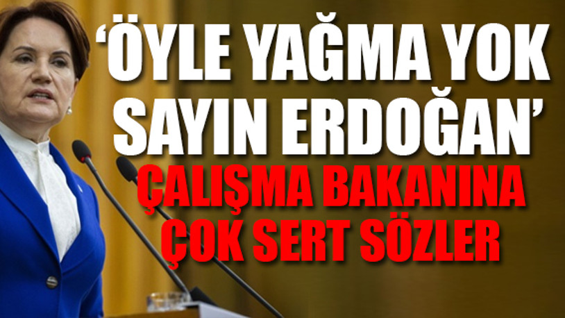 "Artık Damadının pembe tablolarına Erdoğan da inanmıyor"