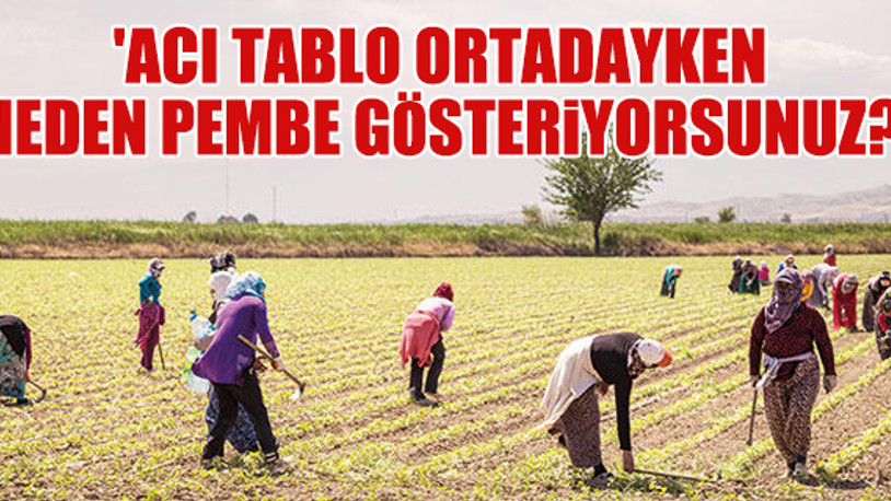 CHP'li Barut: Çiftçinin borcu 18 yılda 40 kat arttı