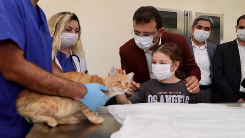 İBB, Kemerburgaz Sahipsiz Hayvan Geçici Bakımevi'ni yeniden düzenledi