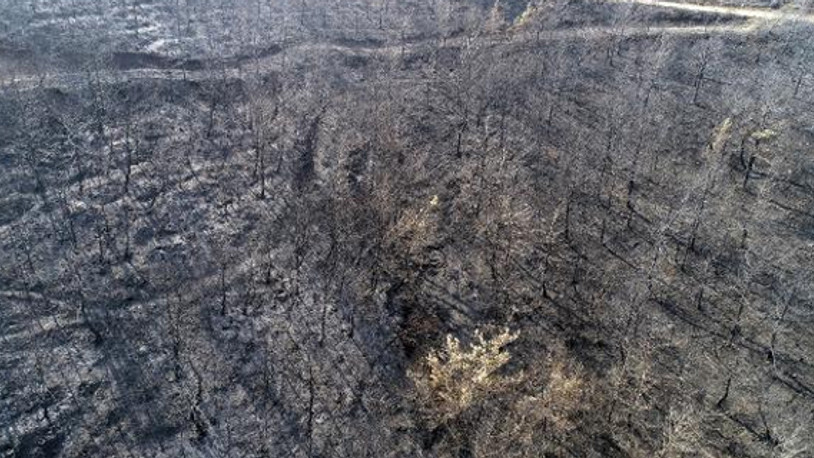 İşte Hatay'da yanan ormanlık alanın son görüntüsü