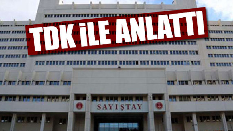 Sayıştay, usulsüzlüğü sözlükle anlattı