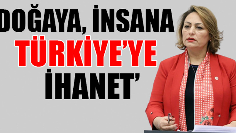 'Dünyanın hiçbir yerinde lastik yakmak biyoenerji sayılmaz'