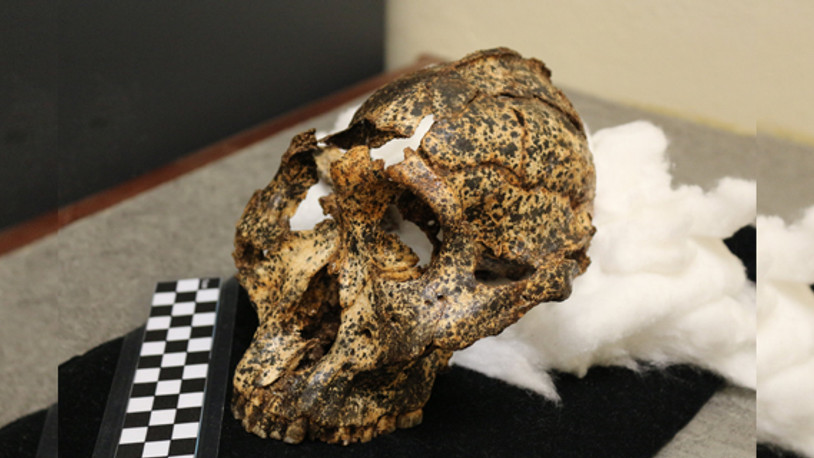 Güney Afrika'da şu ana kadar bulunan en eski insan kafatası bulundu