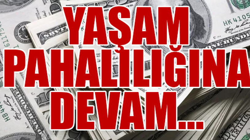 HSBC yılbaşından sonra dolar tahminini açıkladı 