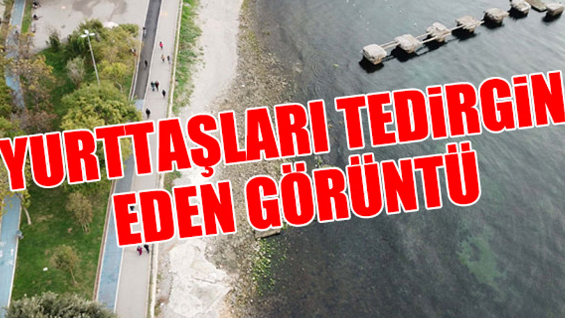 Kadıköy Caddebostan'da deniz çekildi
